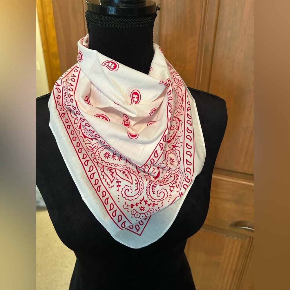Red and White Paisley Bandana - Picture 2 of 7